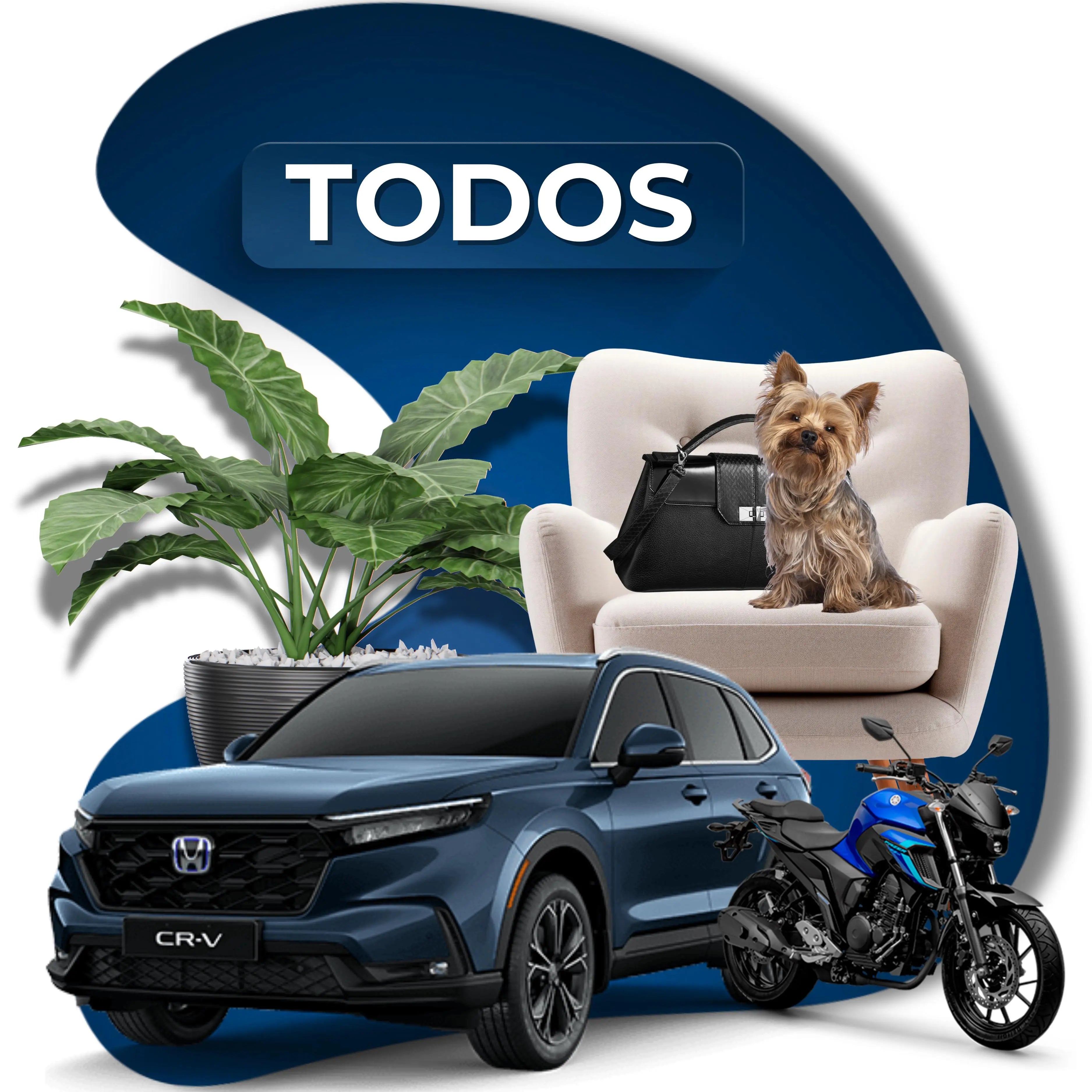 Todas-Categorias lojasaruna