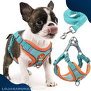 Coleira Peitoral Para Cachorro - Dog Master (Últimas Unidades) lojasaruna